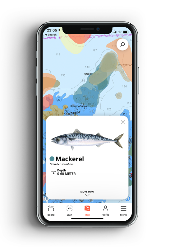 FiskHer – et prosjekt fra Adept Mobile